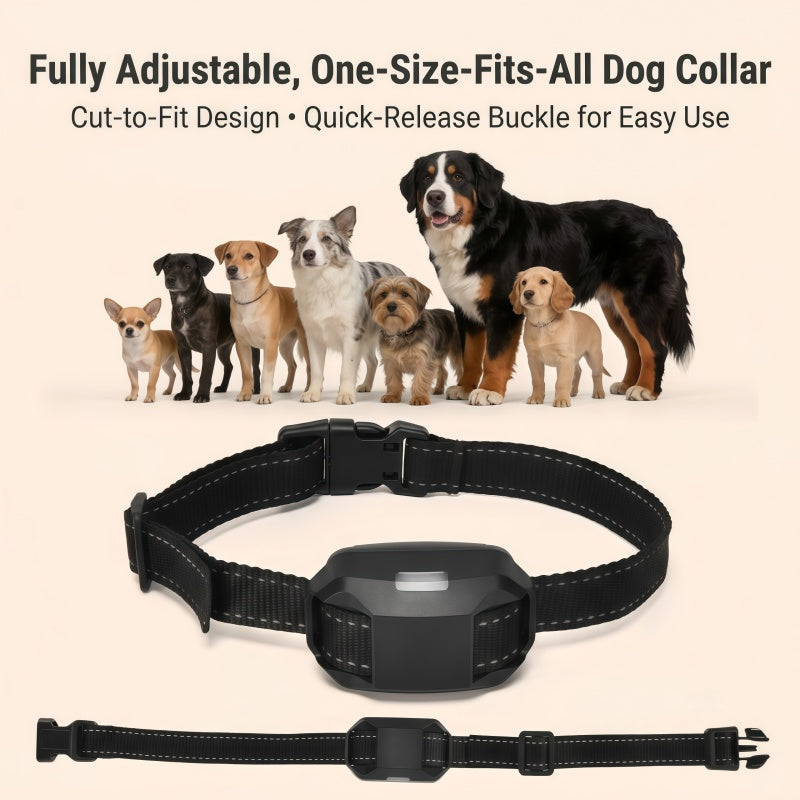 Rechargeable Dog Training Collar with Remote - 2600ft / 800m Control Range, 3 Training Modes