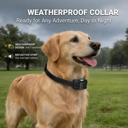 Rechargeable Dog Training Collar with Remote - 2600ft / 800m Control Range, 3 Training Modes