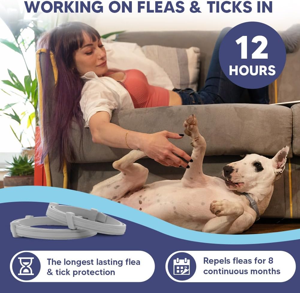 Flea and Tick Collar for Dogs & Puppies - 8-Month Protection, Water-Resistant & Adjustable (2 Pack)