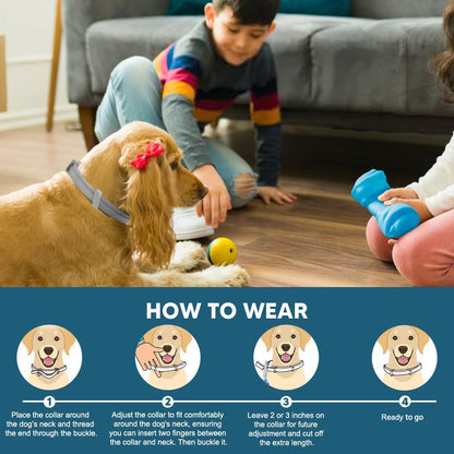 2-Pack Waterproof Flea and Tick Collar for Large Dogs (Over 18 lbs) - Up to 8 Months Pest Protection - Adjustable 25 in / 63.5 cm