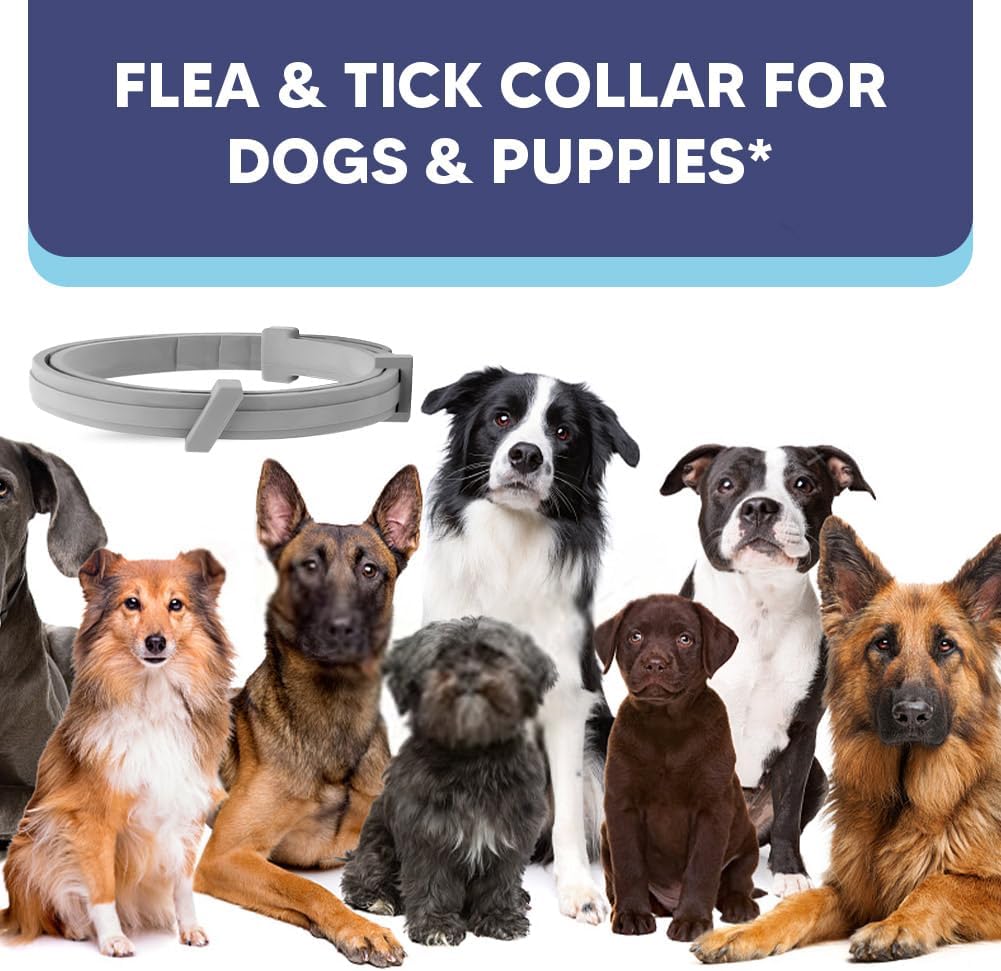 Flea and Tick Collar for Dogs & Puppies - 8-Month Protection, Water-Resistant & Adjustable (2 Pack)