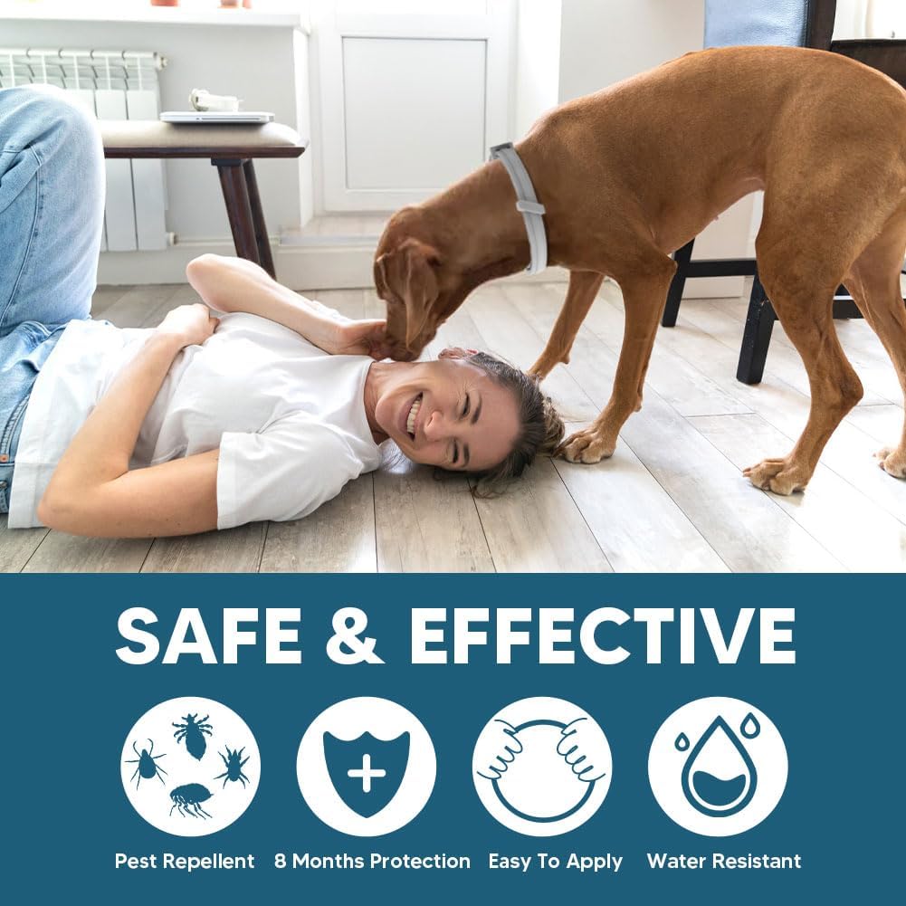 Adjustable Flea and Tick Collar for Large Dogs (Over 18 lbs) - Up to 8 Months Protection, Water-Resistant, Grey - 2 Pack