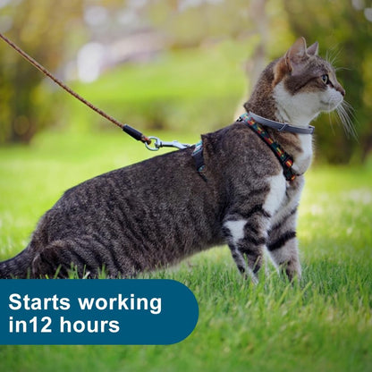 Flea and Tick Collar for Cats - 8-Month Protection, Waterproof, Natural Ingredients, 2-Pack