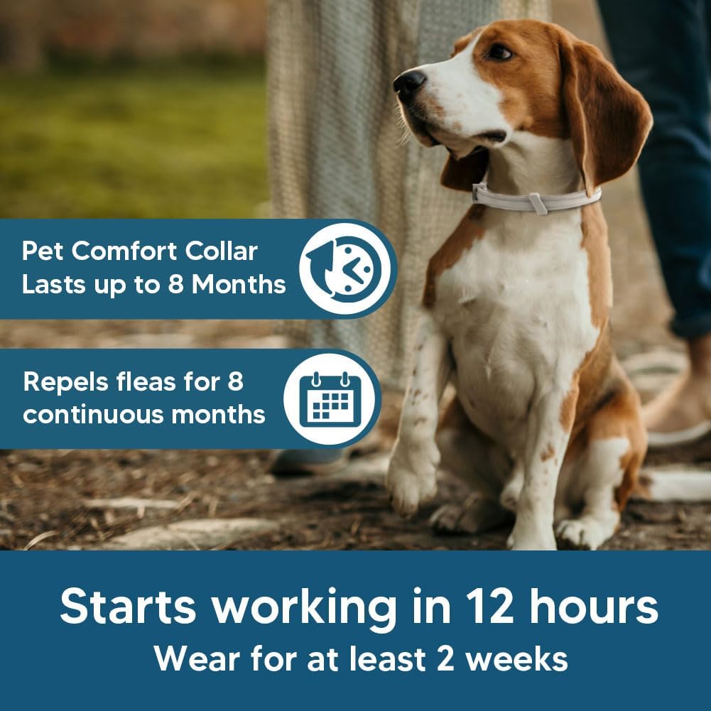 2-Pack Adjustable Flea and Tick Collar for Dogs, Water-Resistant Pet Protection Collar