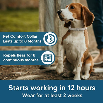 2-Pack Adjustable Flea and Tick Collar for Dogs, Water-Resistant Pet Protection Collar