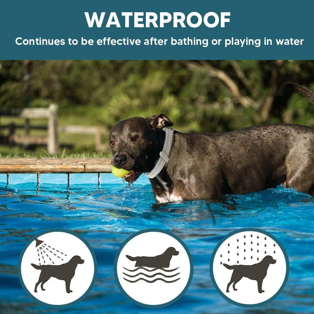 2-Pack Waterproof Flea and Tick Collar for Large Dogs (Over 18 lbs) - Up to 8 Months Pest Protection - Adjustable 25 in / 63.5 cm