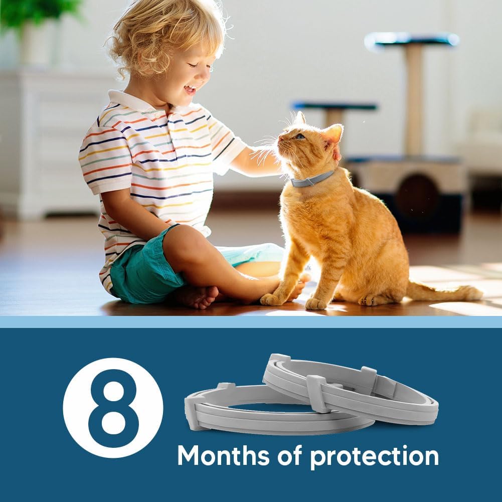 8-Month Flea and Tick Collar for Cats, Adjustable Waterproof Pest Repellent Collar, 2 Pack (Grey)