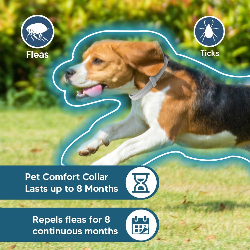 Adjustable Flea and Tick Collar for Dogs - 8 Months Protection, Waterproof Pest Prevention Strap (2 Pack, Grey)