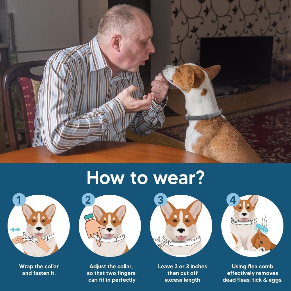 2-Pack Adjustable Flea and Tick Collar for Dogs, Water-Resistant Pet Protection Collar