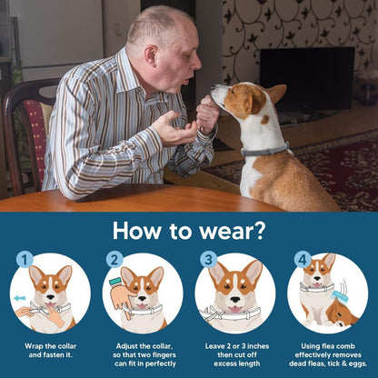 2-Pack Adjustable Flea and Tick Collar for Dogs, Water-Resistant Pet Protection Collar