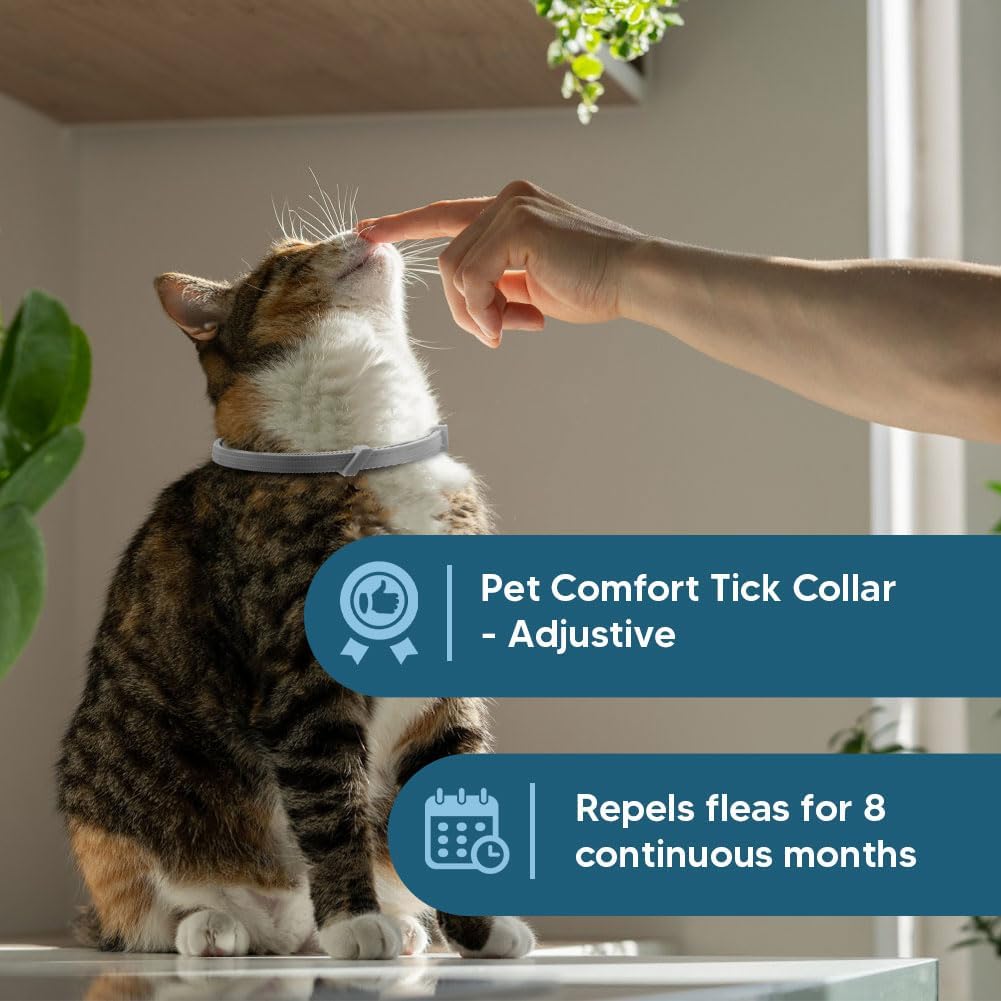 8-Month Flea and Tick Collar for Cats, Adjustable Waterproof Pest Repellent Collar, 2 Pack (Grey)