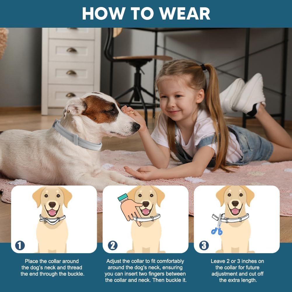 Adjustable Flea and Tick Collar for Dogs - 8 Months Protection, Waterproof Pest Prevention Strap (2 Pack, Grey)