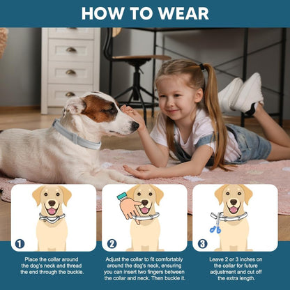 Adjustable Flea and Tick Collar for Dogs - 8 Months Protection, Waterproof Pest Prevention Strap (2 Pack, Grey)