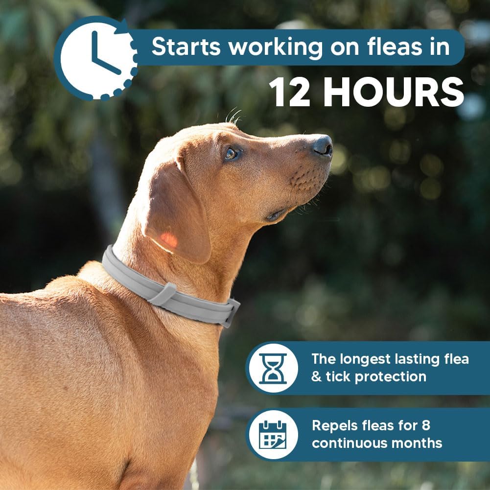 2-Pack Waterproof Flea and Tick Collar for Large Dogs (Over 18 lbs) - Up to 8 Months Pest Protection - Adjustable 25 in / 63.5 cm