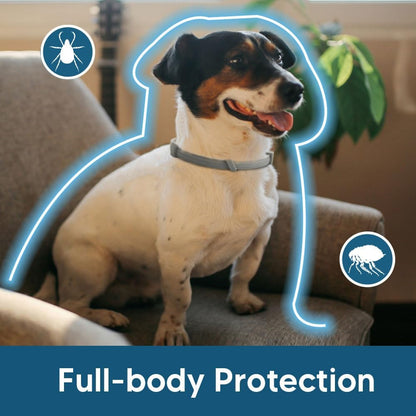 2-Pack Adjustable Flea and Tick Collar for Dogs, Water-Resistant Pet Protection Collar