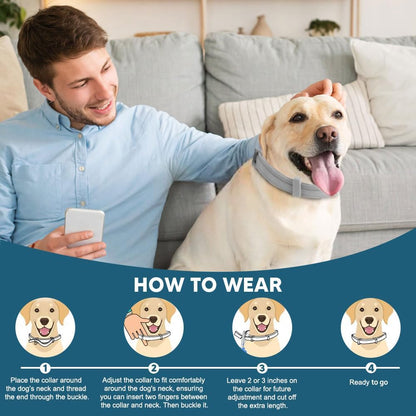 Adjustable Flea and Tick Collar for Large Dogs (Over 18 lbs) - Up to 8 Months Protection, Water-Resistant, Grey - 2 Pack