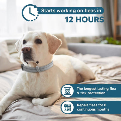 Adjustable Flea and Tick Collar for Large Dogs (Over 18 lbs) - Up to 8 Months Protection, Water-Resistant, Grey - 2 Pack