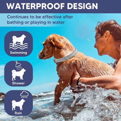 Flea and Tick Collar for Dogs & Puppies - 8-Month Protection, Water-Resistant & Adjustable (2 Pack)