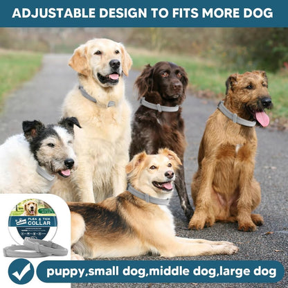 Adjustable Flea and Tick Collar for Dogs - 8 Months Protection, Waterproof Pest Prevention Strap (2 Pack, Grey)