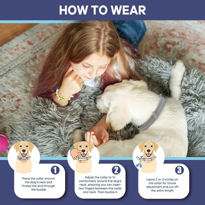 Flea and Tick Collar for Dogs & Puppies - 8-Month Protection, Water-Resistant & Adjustable (2 Pack)