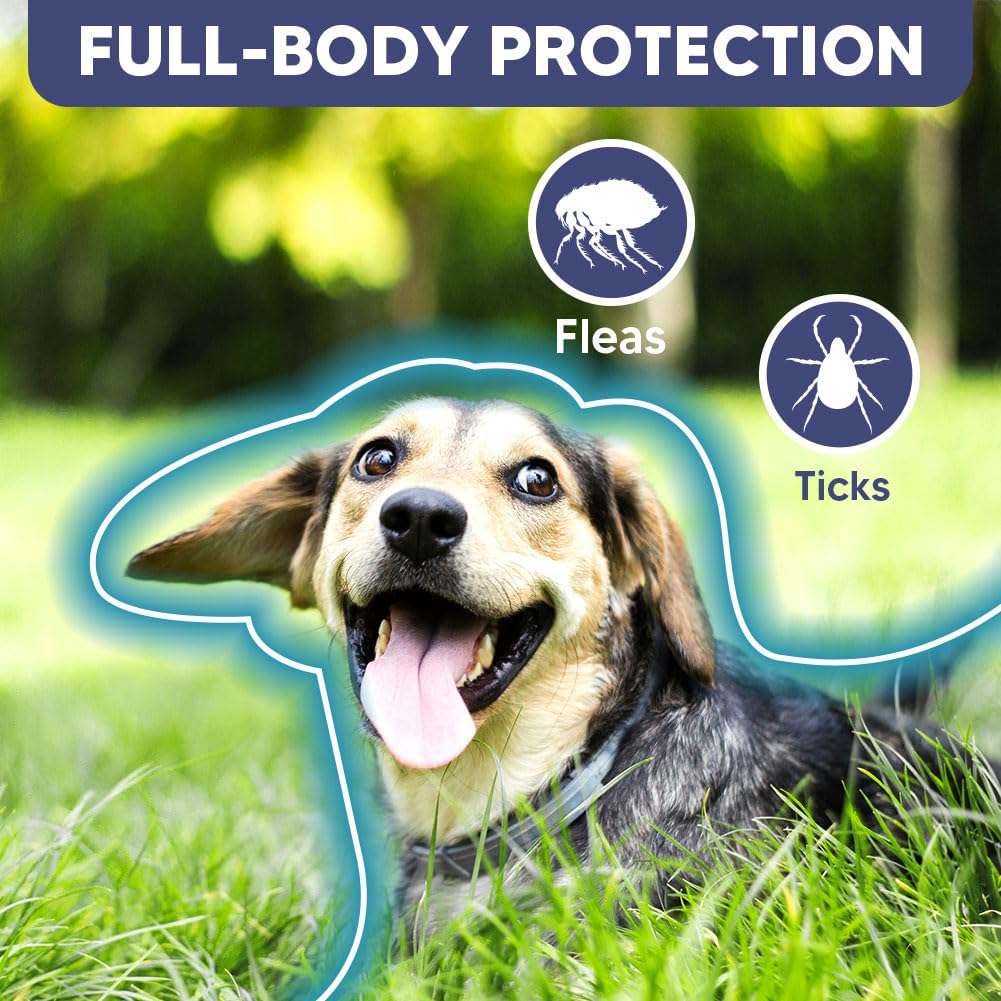 Flea and Tick Collar for Dogs & Puppies - 8-Month Protection, Water-Resistant & Adjustable (2 Pack)