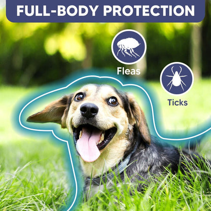 Flea and Tick Collar for Dogs & Puppies - 8-Month Protection, Water-Resistant & Adjustable (2 Pack)