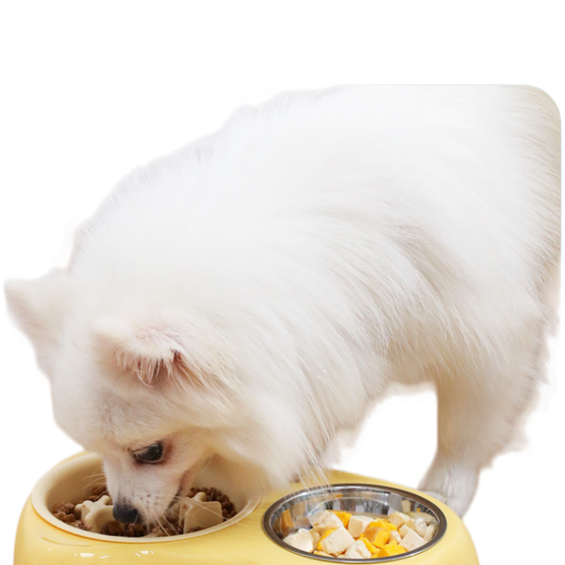 2-in-1 Slow Feeder & Stainless Steel Dog Bowl Combo with Non-Slip Base for Small Dogs & Cats