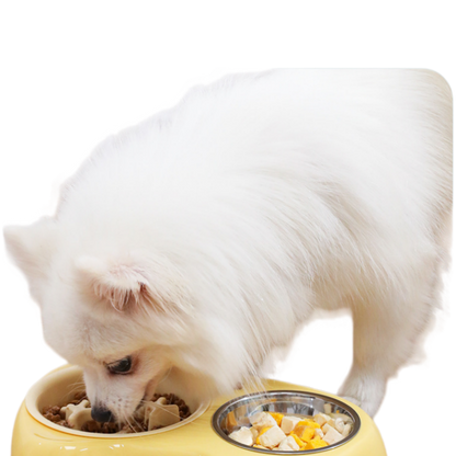 2-in-1 Slow Feeder & Stainless Steel Dog Bowl Combo with Non-Slip Base for Small Dogs & Cats