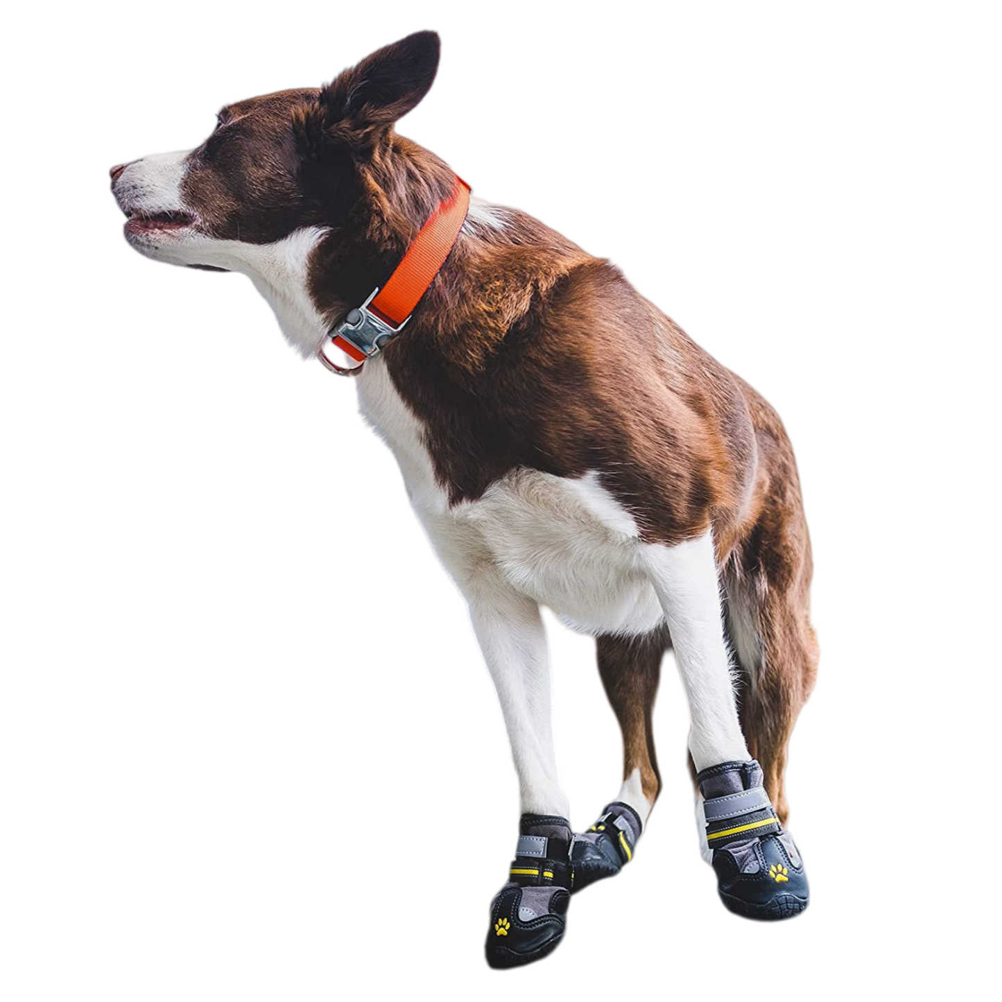Water-Repellent Dog Boots with Anti-Slip Sole & Reflective Straps, Winter Fleece Lined Paw Protectors