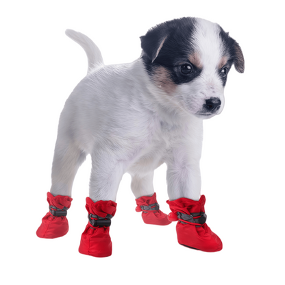 Water-Resistant Soft-Sole Dog Boots with Anti-Slip Sole and Reflective Straps