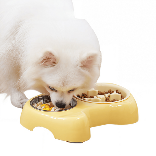 2-in-1 Slow Feeder & Stainless Steel Dog Bowl Combo with Non-Slip Base for Small Dogs & Cats