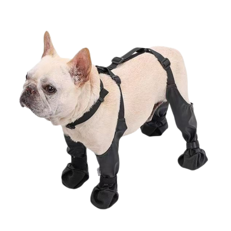 Adjustable Dog Suspender Boots - Water-Resistant Pet Leggings with Anti-Slip Paw Protection