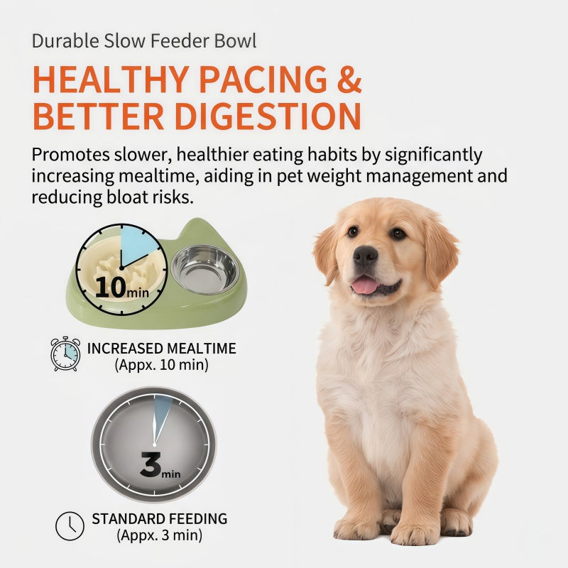 2-in-1 Slow Feeder & Stainless Steel Dog Bowl Combo with Non-Slip Base for Small Dogs & Cats