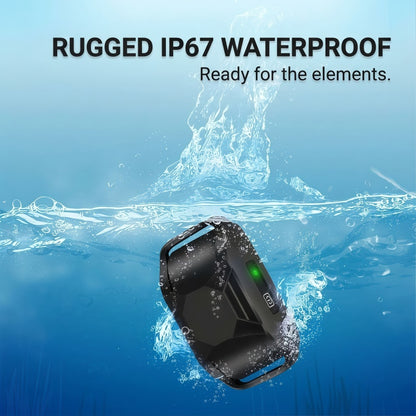 Rechargeable Dog Training Collar with Remote - 600M (2000FT) Range, IP67 Waterproof, 3 Training Modes (Beep, Vibration, Static), Fits 8-150 lbs Dogs