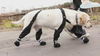 Adjustable Dog Suspender Boots - Water-Resistant Pet Leggings with Anti-Slip Paw Protection